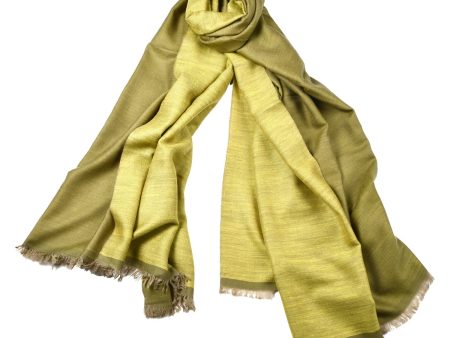 T 542 Reversible Olive Lime Shawl Online Sale